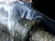 太仓城厢全网承接消防管道查漏服务 - 图片 3
