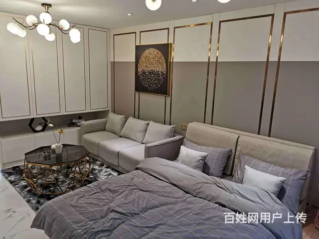 政务新区现房首付10万复式公寓苏滁汽车生活广场通燃气双层设计 - 图片 3