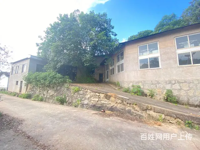 (房东直租)沙坪北山700平厂房出租，租金2万，随便改造 - 图片 3