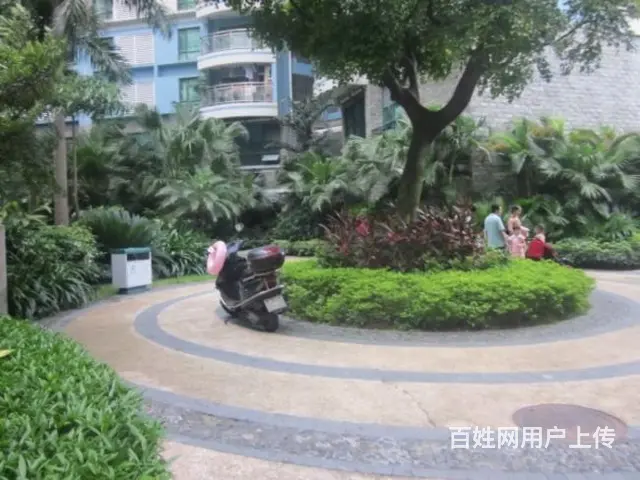 白天鹅花园三期 个性细腻，辗压争议，经得起你的挑剔 - 图片 12