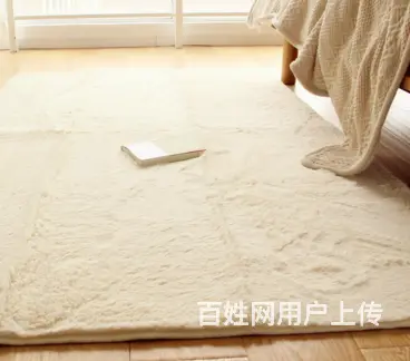 绍兴 精品纺织品 华贵布艺窗帘 地毯 百叶窗帘 - 图片 4