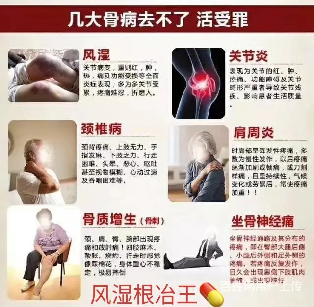 颗粒痛风茶丸 - 图片 4