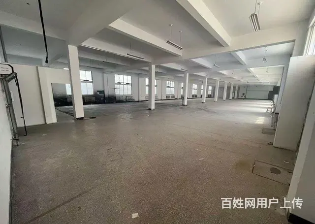 （新房源）羊亭和兴路附近标准厂房出租可分租 - 图片 2