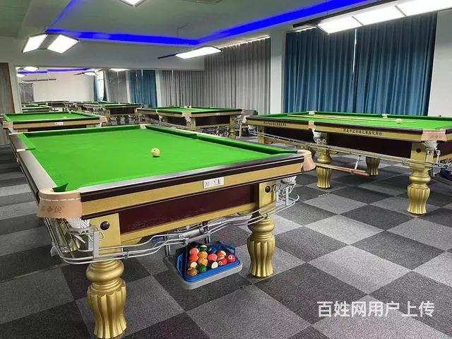 （极 致）武义罗山村台球室转让！接手即可营业！ - 图片 4