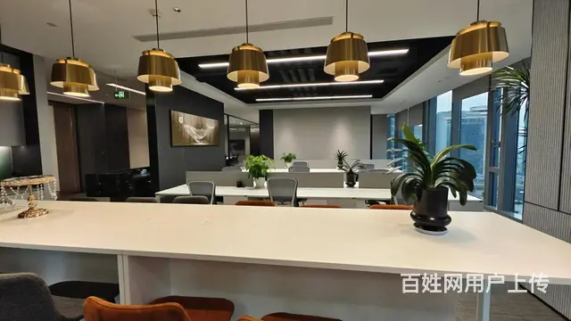 杭州地标建筑 杭州中心武林广场地铁口 豪装带家私 各面积可选 - 图片 5