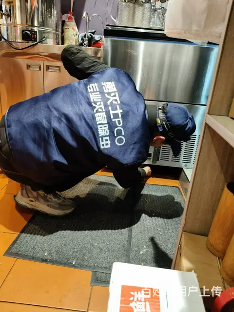 上门除虫灭鼠灭蟑螂灭白蚁抓老鼠 - 图片 5