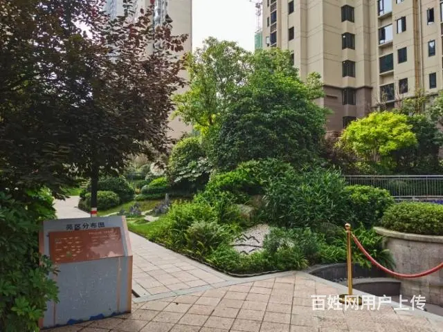 碧桂园云廷 - 图片 5