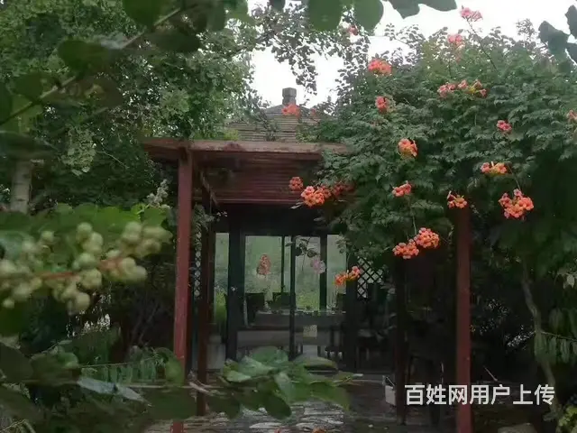 （城市在线找房免费）新城区观光路润泽生态园酒店鱼塘出租 - 图片 7