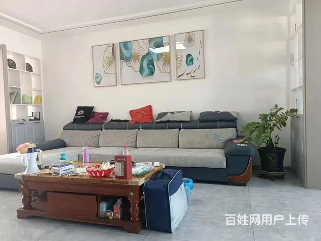 九中九小学区房 - 图片 3