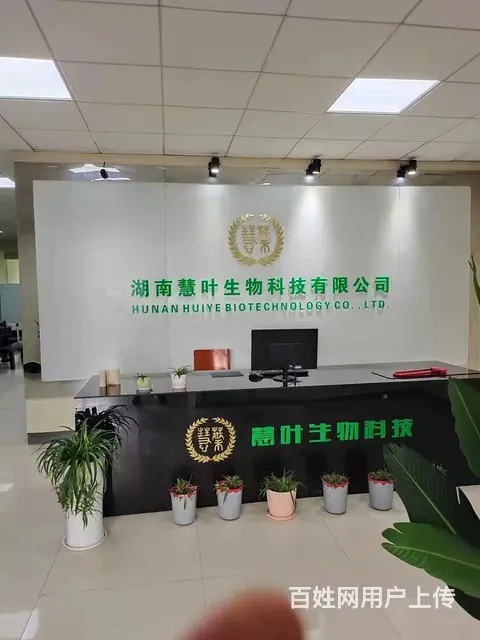 (房东直租)麓谷国际工业园450平精装修厂房优价出租 - 图片 1