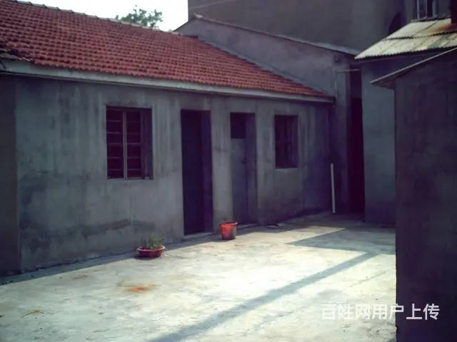 横林镇崔桥崔蓉路60号房屋出租 - 图片 2