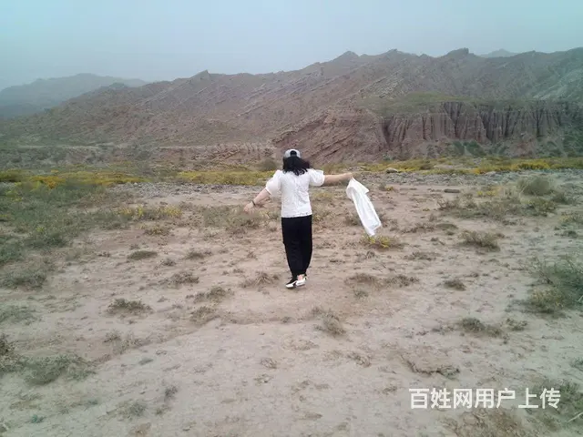 真诚征婚非诚勿扰 - 图片 1