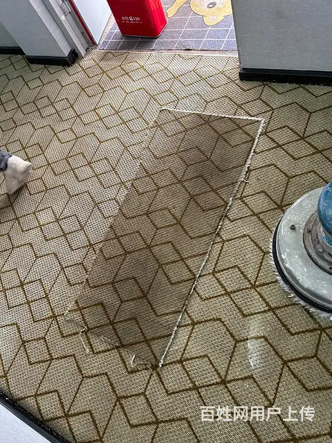 专业永州道县宁远片区各大酒店工厂地毯清洗，地板清洗 - 图片 10