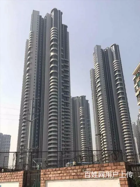 简约干净风 近东亭 沙湖公园 都市经典 桃源国际 - 图片 9