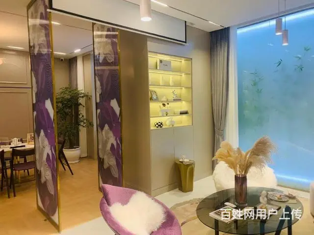 京杭古运河市区广化桥河畔手付5万起运河天地现房现场挑选 - 图片 6