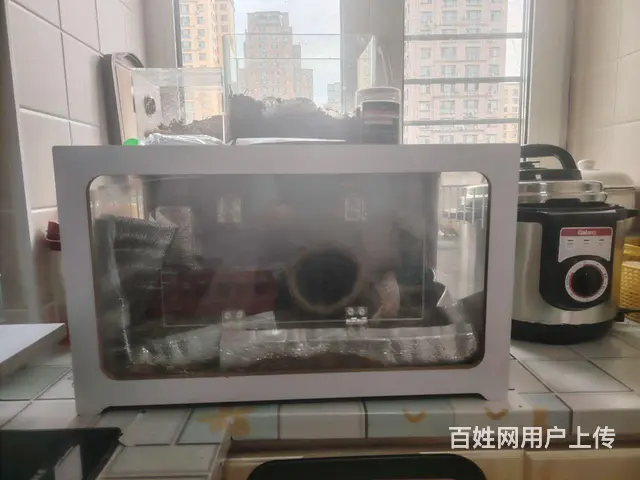 芦丁鸡全套出售 - 图片