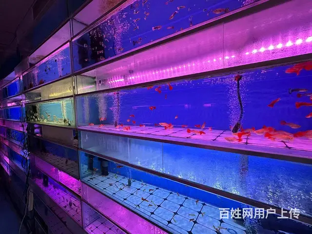 （微易转）明清街绿杉园北门商铺转让 - 图片 3