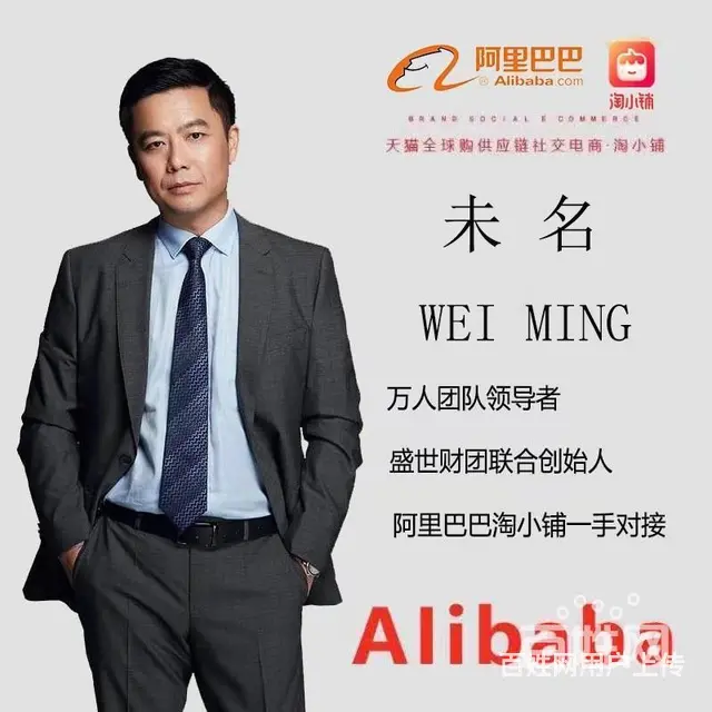 ：阿里淘小铺  赚钱？盛世财团全程辅导 - 图片 1