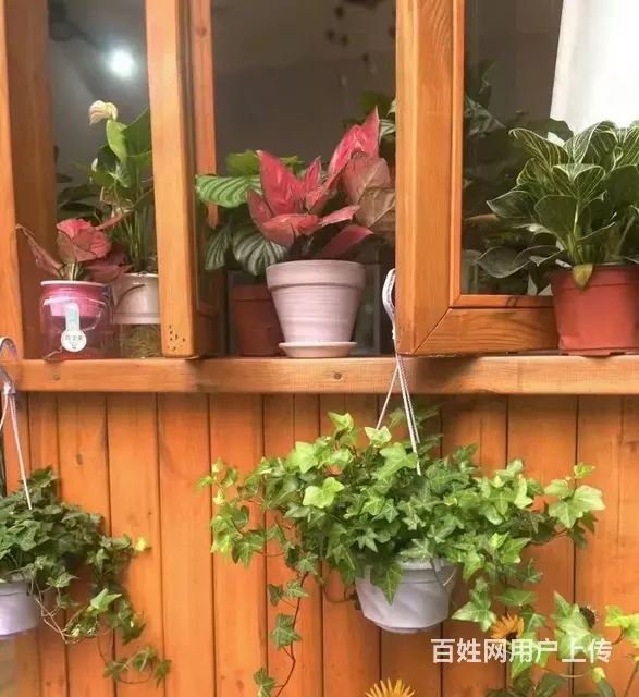 （达州铺源网）市内达巴路口临街20㎡花店转让 - 图片 1