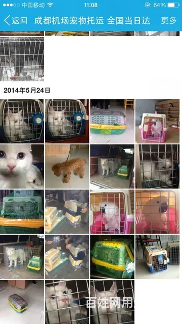 成都欣诚宠物托运公司 全国当日达 - 图片 2