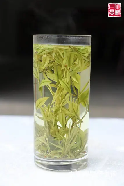 安吉白茶 明前精品茶 小戴白茶 原产地直销 - 图片 1
