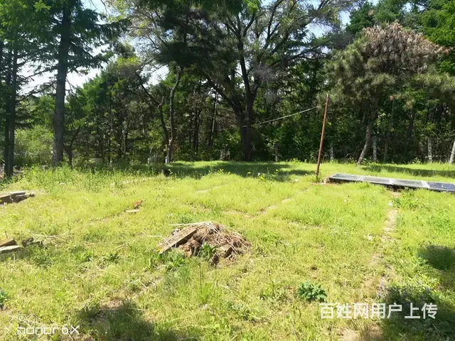 过植物园三层楼带大院出租，分租整租均可 - 图片 1