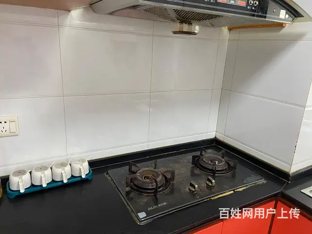 精装修套房出租 - 图片 4