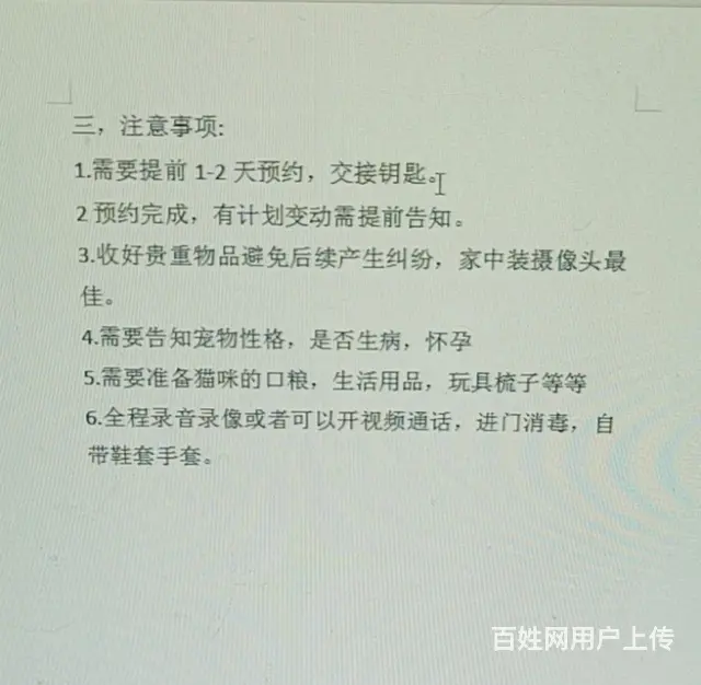 宠物上门投喂 - 图片 2