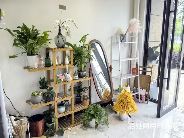 （及 致）义乌拥军路花店转让！也可空转做其他行业 - 图片 6
