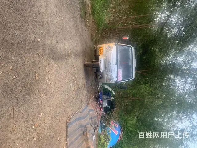 那水果的一点毛病都没有 - 图片 2