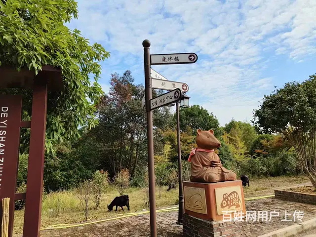 年会创意行程零点团建一日游农家乐 - 图片 4