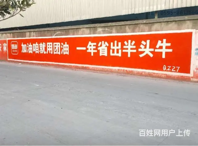 四川雅安墙体彩绘,墙体户外广告,户外刷字墙上广告 - 图片 1