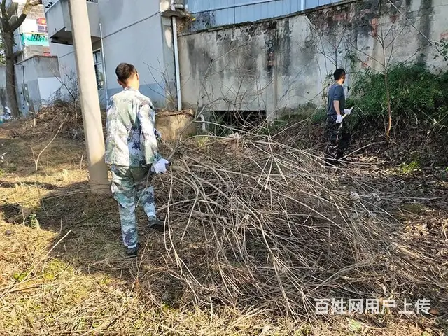 海南儋州孩子叛逆教育学校怎么报名？联系电话 - 图片 8