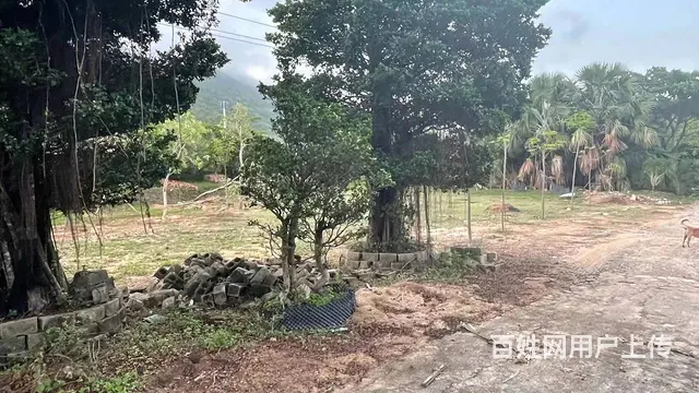 （51旺铺推荐）陵水144亩土地转让 - 图片 7