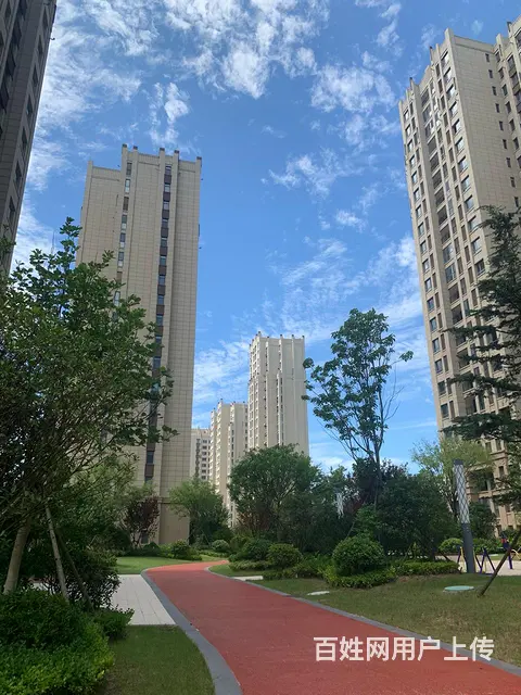 错过了南坊，别再错过南海 - 图片 4