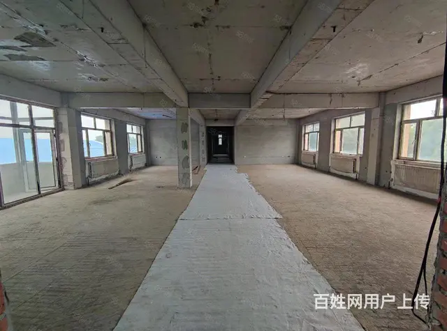松北区利民大道张户屯厂房出租 - 图片 5
