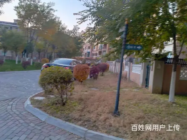 出租出售 - 图片 4