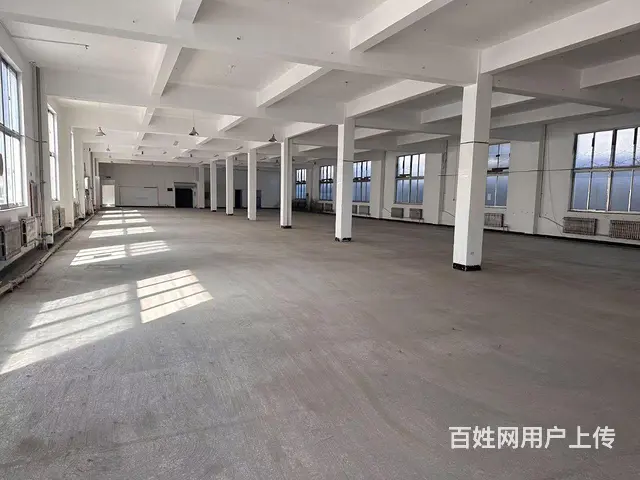 （新房源）羊亭和兴路附近标准厂房出租可分租 - 图片 3