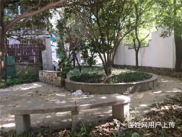 出租翠苑高性价比高品质住宅南北3室精装修 - 图片 9