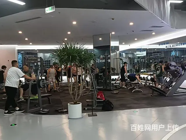 想了解的哥哥姐姐可以联系我 - 图片
