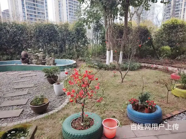 酒城中心精装修一室一厅一厨一卫可短租 - 图片 6
