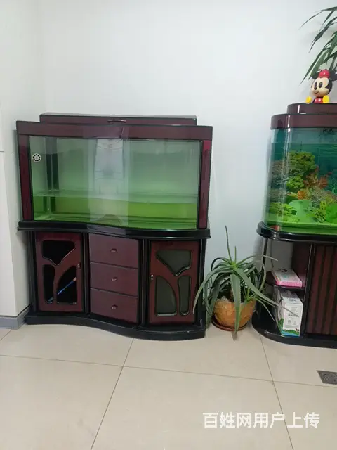 本人出售水族箱鱼缸一个，在海城二街一楼，自提 - 图片