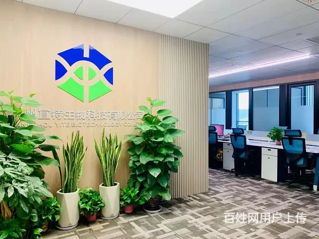 远洋国际绿地广场 运河财富小镇精装300平 - 图片 8