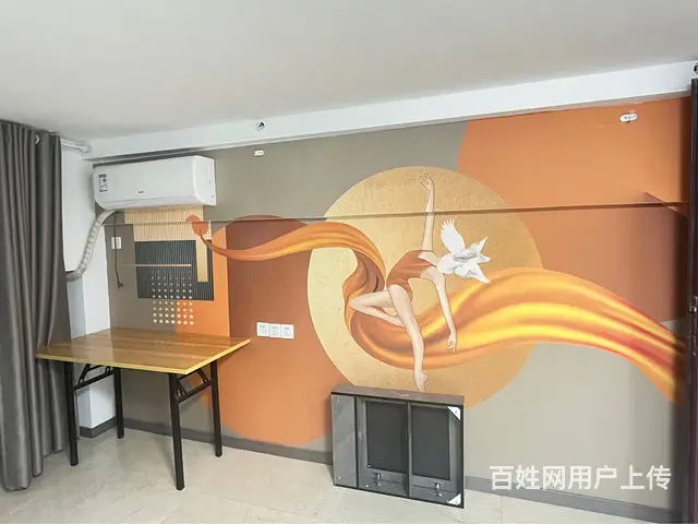 木渎地铁站影视城精装公寓出租 - 图片 5