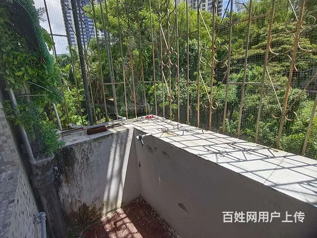 绿洋山庄旁 海景花园 全新精装3房 家电齐全 拎包入住 - 图片 11