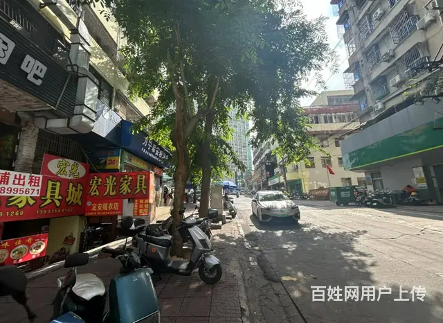 （51旺铺推荐）椰林路240平空铺出租 - 图片 5