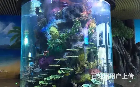 亚克力鱼缸造景的五个步骤 - 图片 2