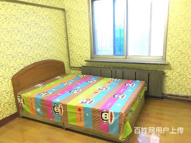 市府恒隆广场旁 2楼，两室整租，七星小区，2楼 家电齐全 - 图片 1