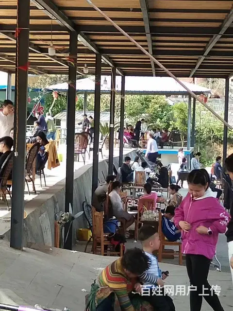 旺铺居）房东直租农家乐招餐饮项目环境优美绿树成荫鱼塘环绕 - 图片 6