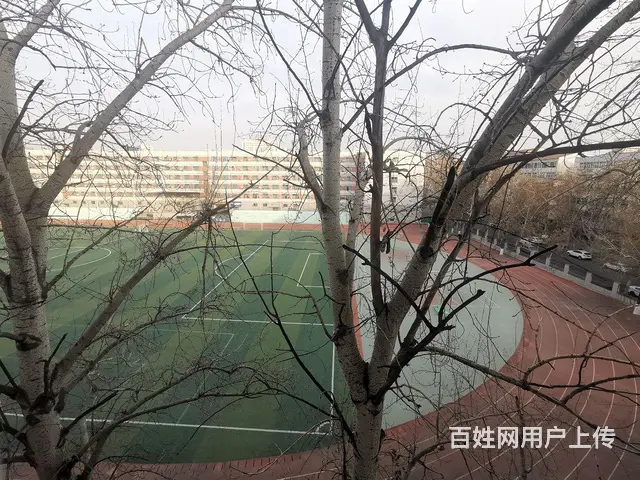 青年雅居公寓出租拎包入住 - 图片 3